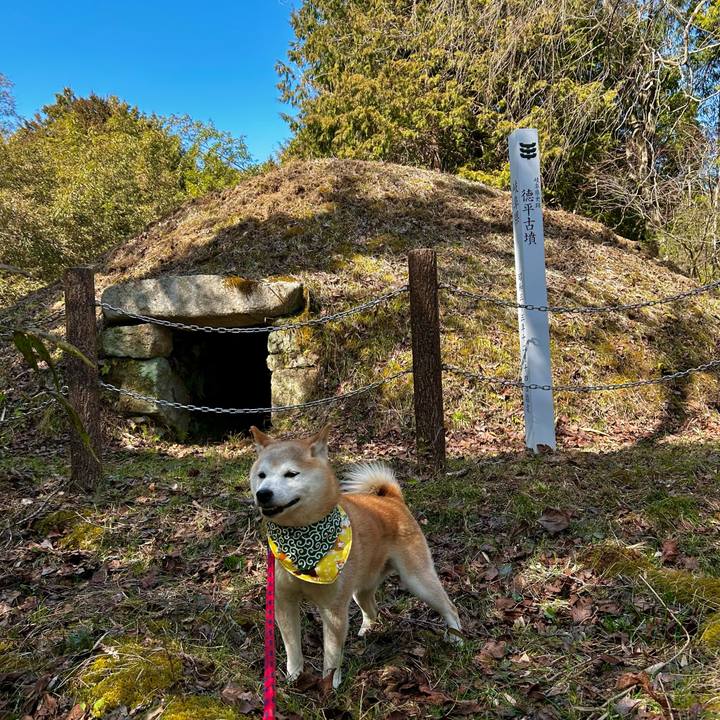 Bd30a38d e484 45f3 a328 3ef32144ee3c 1772449890117