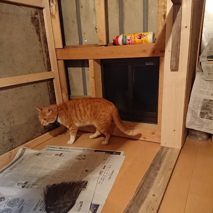 Bd30a6f4 0a1c 4a09 bb39 1842620b79da 1602753220968