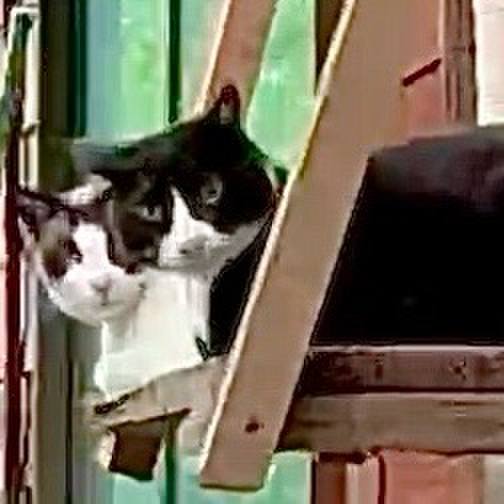 Bd30b0d6 7872 4717 9bb4 d7988b169ca5 1749435918773