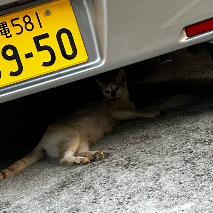 Bd30c939 9ea9 4d1f 943b 7ee7ef3b17e3 1759995993317