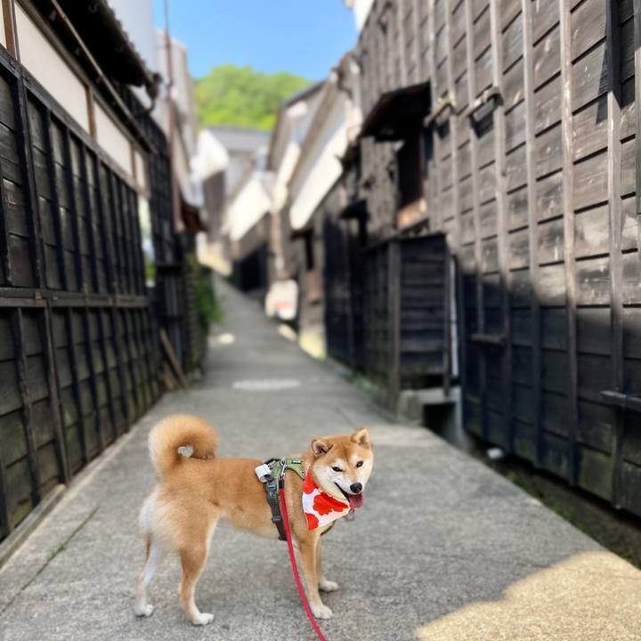 Bd30dc1e 05cc 439f 87a9 ed44f3f07859 1652051158461