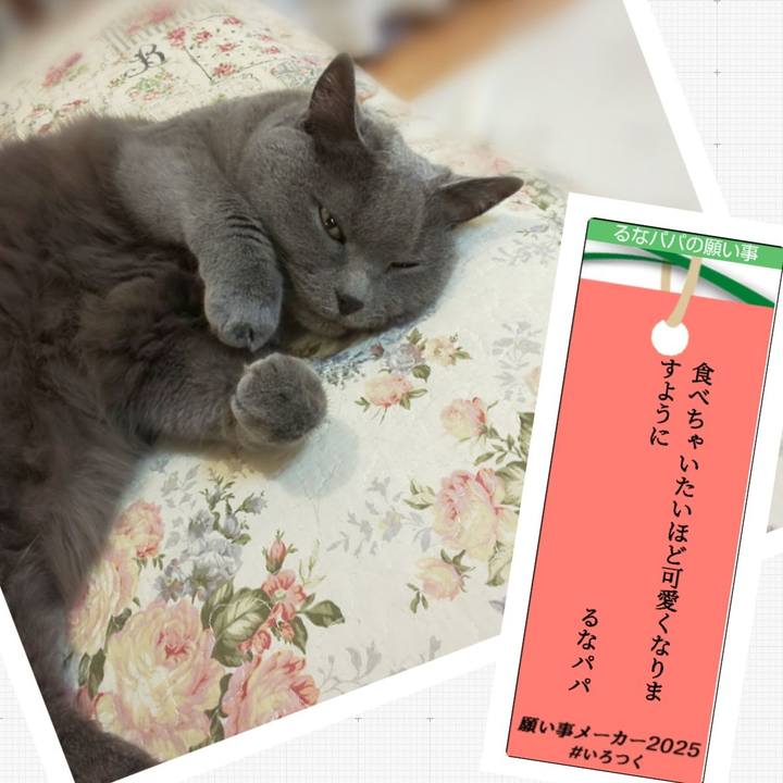 Bd30ecd0 4a65 4351 ae4d 084aa746a1ad 1751857261070