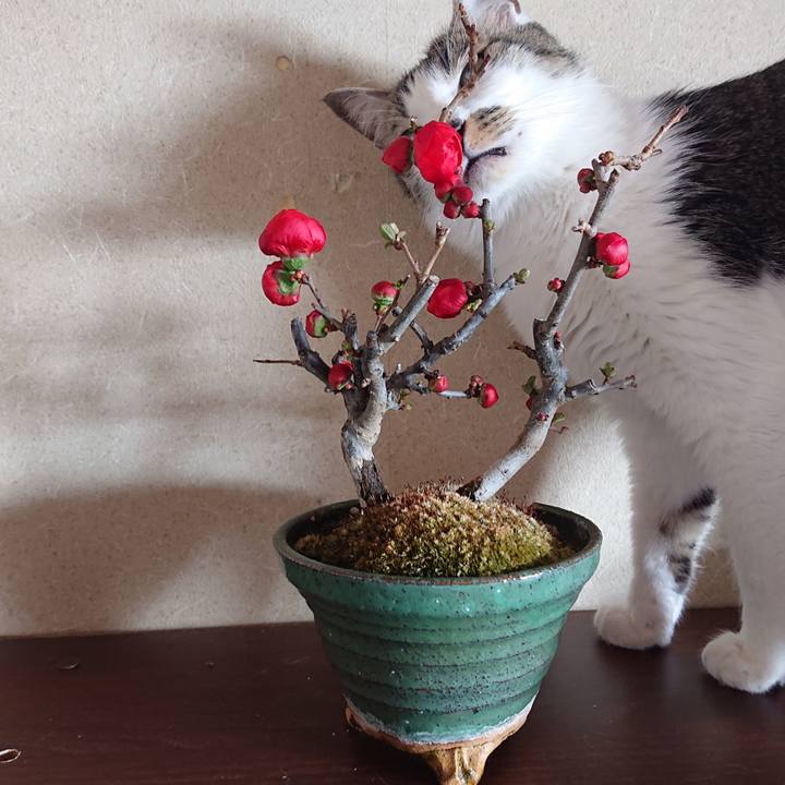 Bd313023 bf21 4a5b 97a2 18f0f07395a5 1646984939648