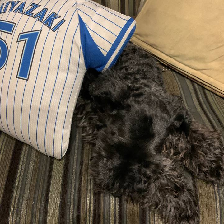 Bd313670 9361 4d71 a2b5 928b5bdac663 1620388103832