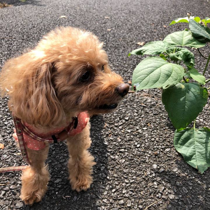 Bd316878 31c4 465d b4b4 13ef5b7f71fe 1540360773309