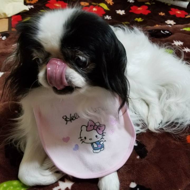 Bd31742c a8a7 4354 a8fd e610400ce95e 1508924343065