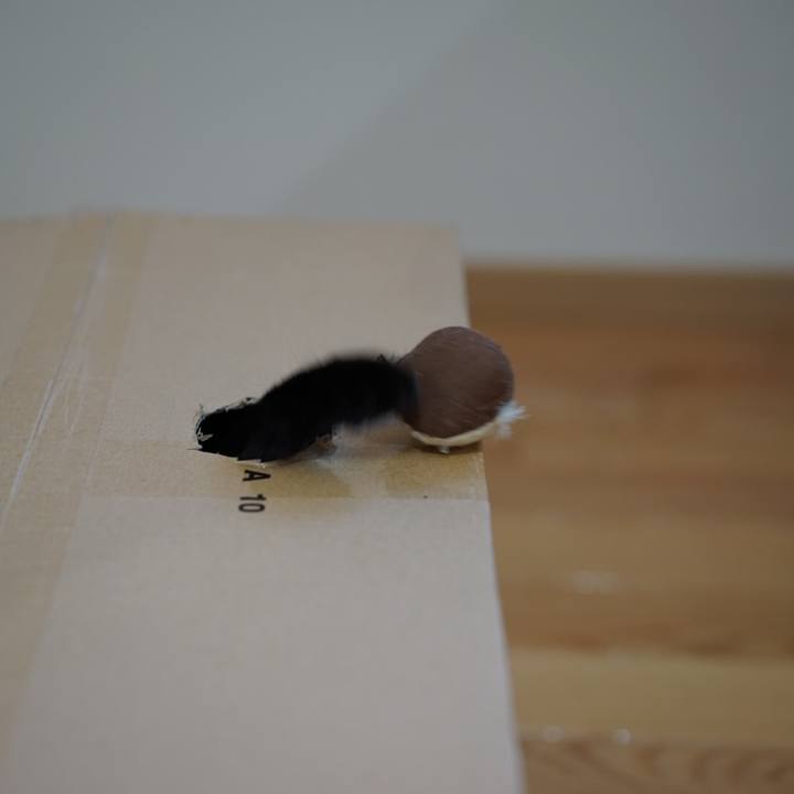 Bd317d69 1d8b 4698 afd2 af2cd13c9aef 1548041471337