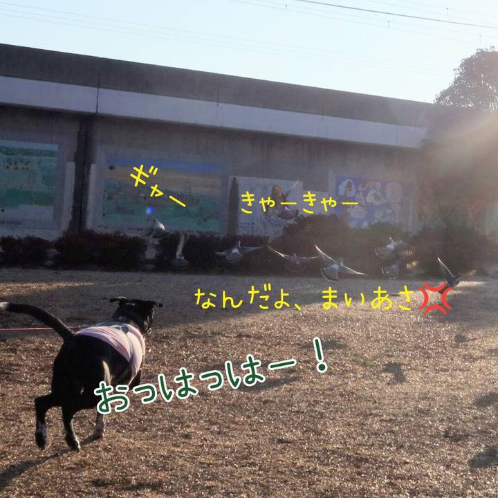 Bd3180cf f2f2 4cd6 98d5 f6eef3b55a1f 1706661940201