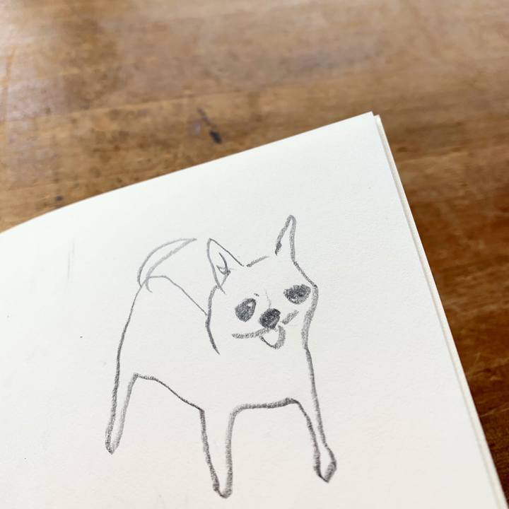 Bd318aa4 65b9 4584 8e63 017d4a40ee8f 1589939455275