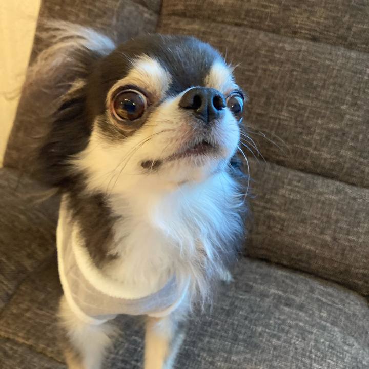 Bd318fc1 f67d 4e2a a367 c192a99111dc 1714733549708