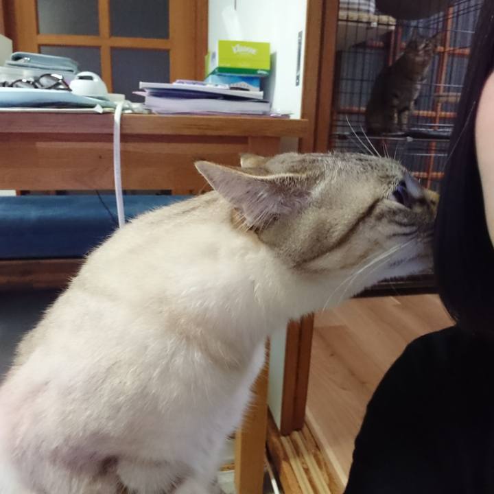 Bd31c3da 21b4 4382 8b9f c66c3b6601d7 1561795375004