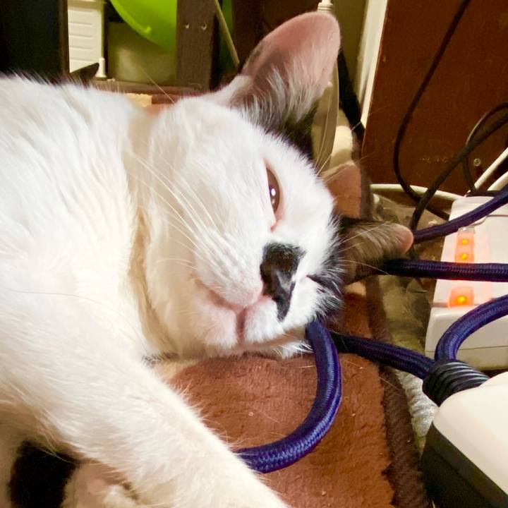 Bd31e1d0 bf90 4ced a7f5 02fbb1acee6a 1615177263384