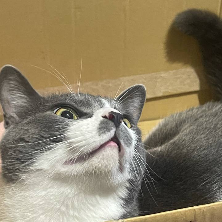 Bd31f7ac d783 4c1d a4f2 d1061fbe4b25 1624607102039