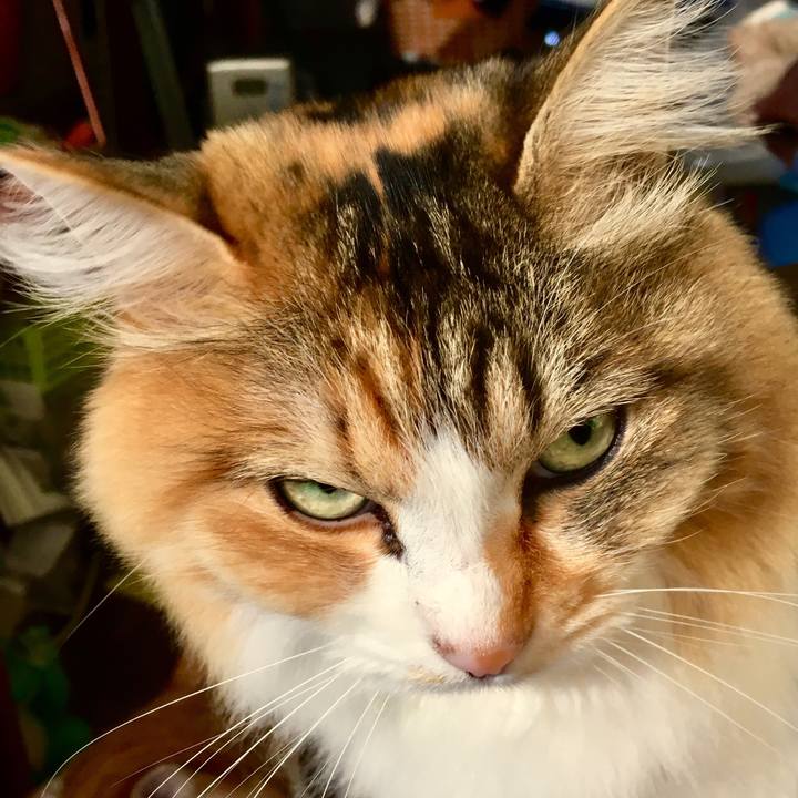 Bd321002 e865 4ca6 97c9 8c99689d04eb 1556950657083