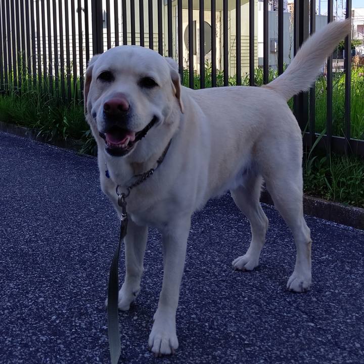 Bd321e71 8f48 4da7 9a6b bf3fcb56f1cd 1589499531936