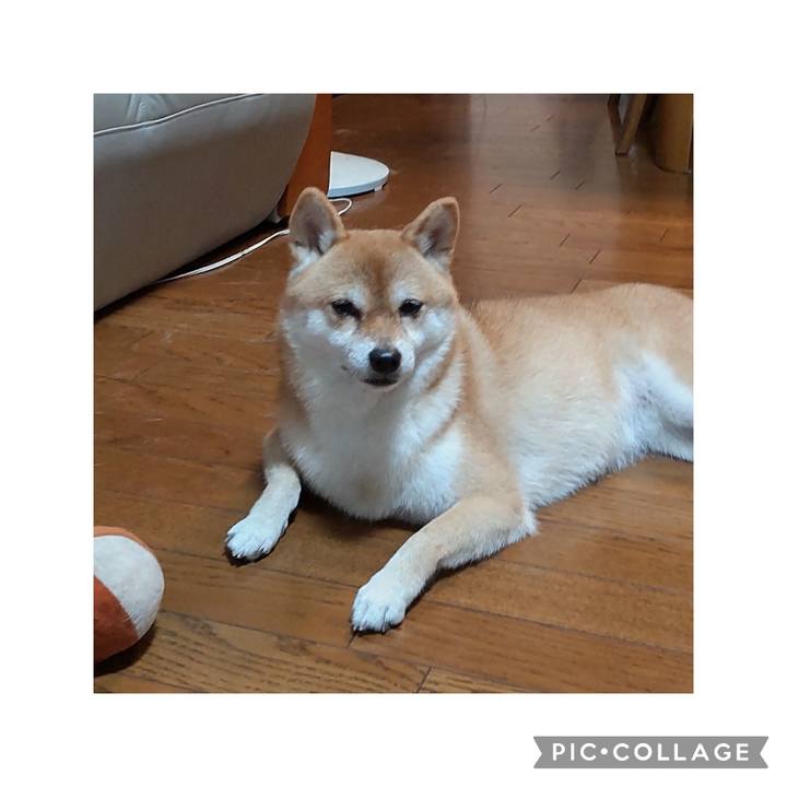 Bd3225fe a042 46e9 9a62 8fa8c8e28c56 1729584134917