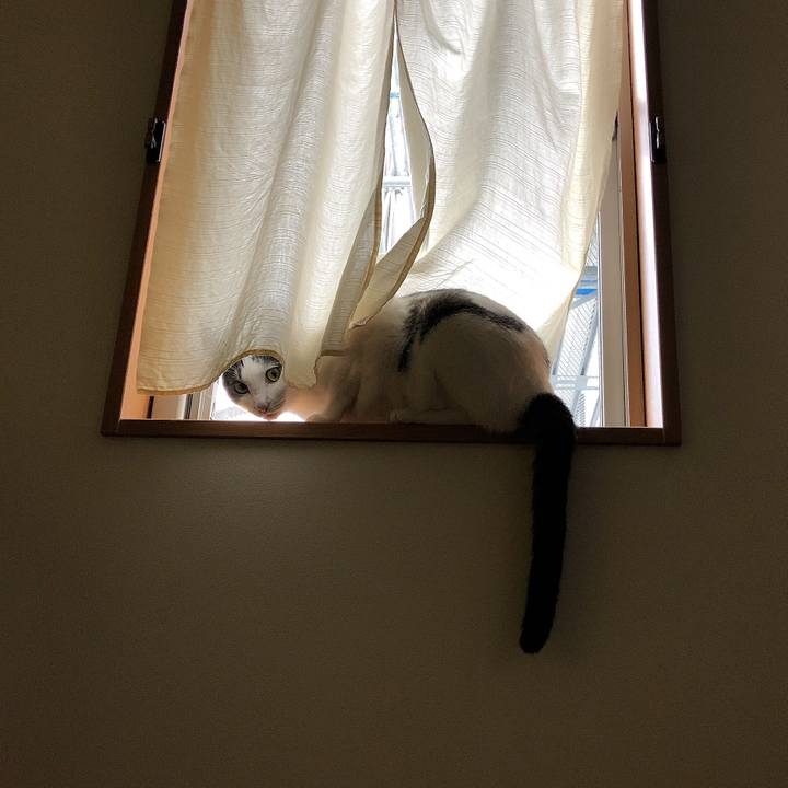 Bd322bb9 29de 4dd3 a2f0 82fb1f74eb2c 1629069988979