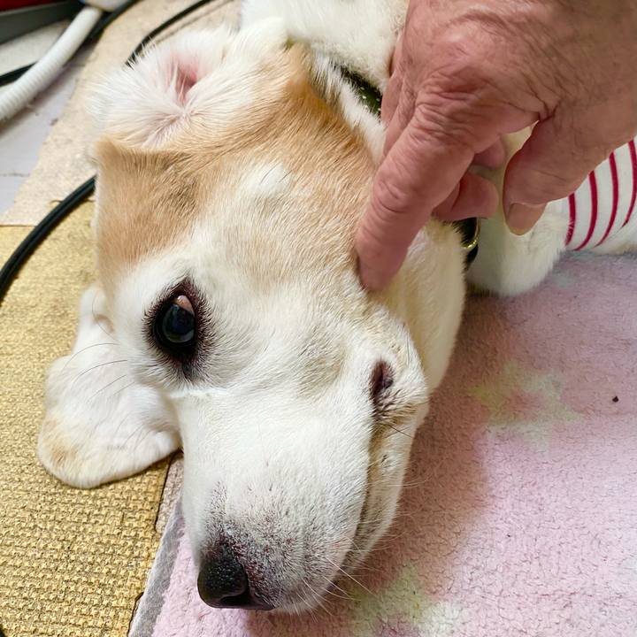 Bd325326 a62e 4aea 8410 0538a5869c1d 1656475711152