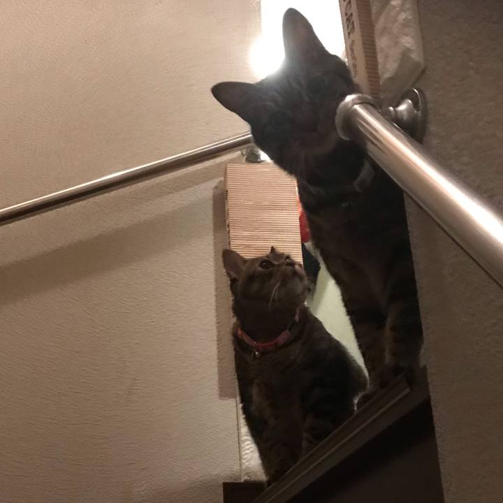 Bd32d4c3 5f5a 4078 948e 4227c32244c9 1598358182795