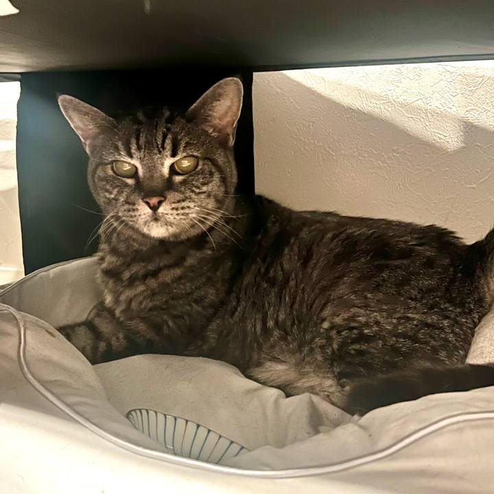 Bd32dc10 e9d3 4bea 92da 06ddf991f1b8 1760366768549