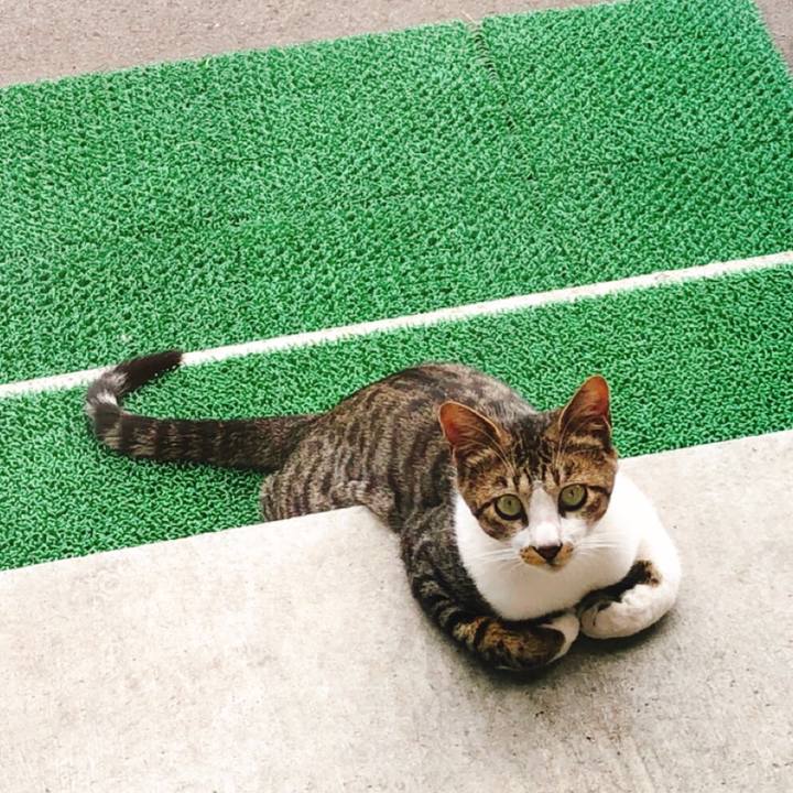 Bd32f3c4 a28f 48fb 81ff de06c19400c5 1531554009185