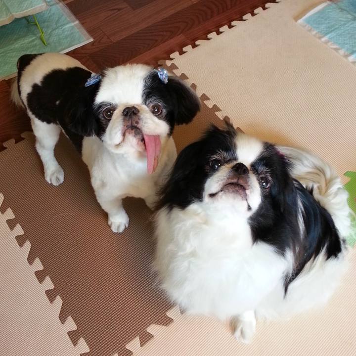 Bd333549 6622 43c4 93f5 6cd81342ac79 1692177829884