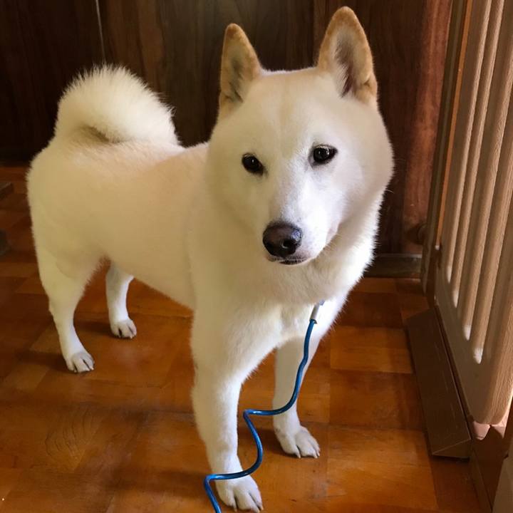 Bd338dfe 0b18 4f57 b316 17bb11f5e8e7 1566215912647