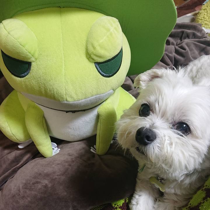 Bd33d62e fc6c 4e08 ba0f 61e9df01be52 1638363870467