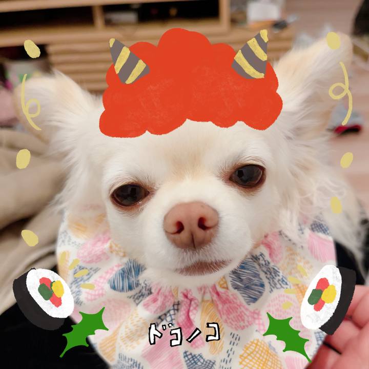 Bd33eb38 b2ff 42a3 a6c6 4801e0e78c98 1706835281950