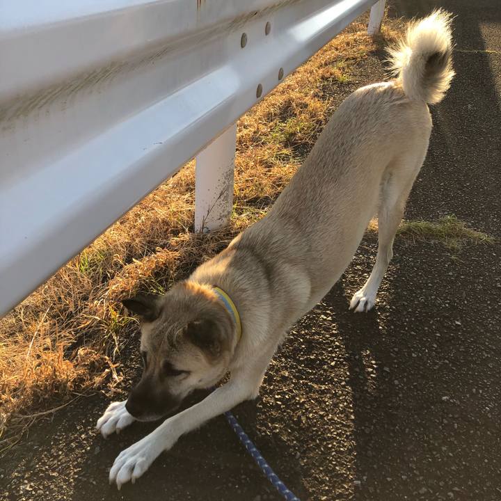 Bd33ecb7 c722 43e0 9b25 f3d9cd528243 1540814549690