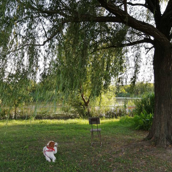 Bd33ed74 1917 4d19 94cf e4db957b521f 1627043359464