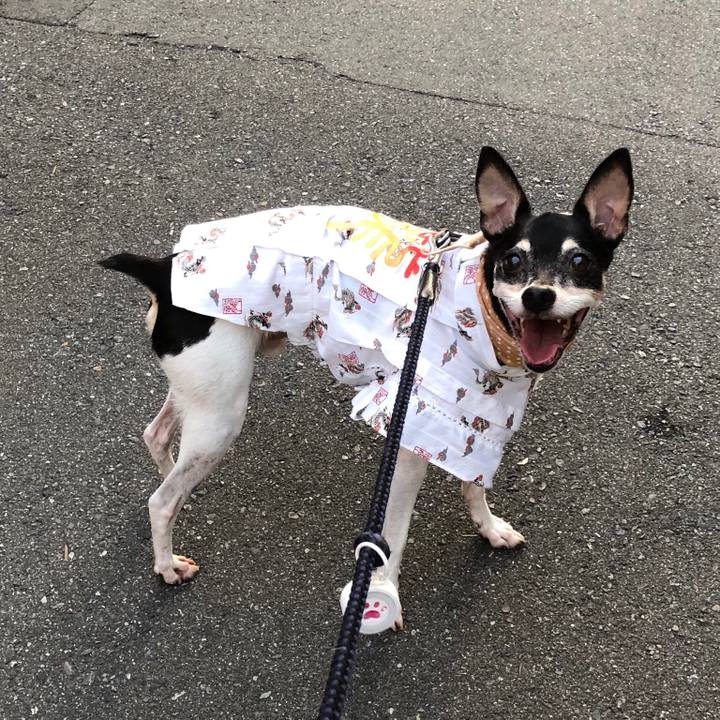 Bd3400fc 070a 4649 a306 49fab7279ef1 1533382851941