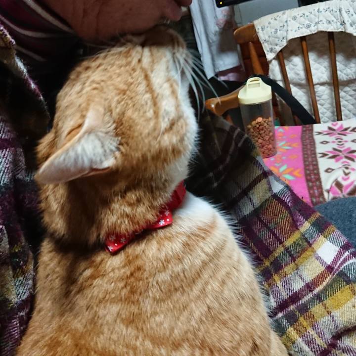 Bd342339 62a9 42a4 93f9 49f2183ba136 1578169471484