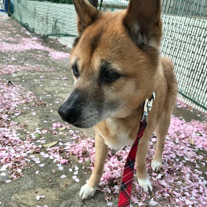 Bd343afa 8d35 4b1a b92a f47ad88715f1 1523483071835