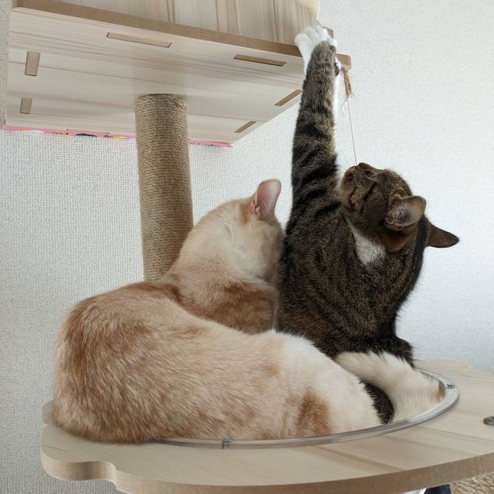 Bd343ba8 702d 4e4d 95d4 9a5cb7936561 1693618258343