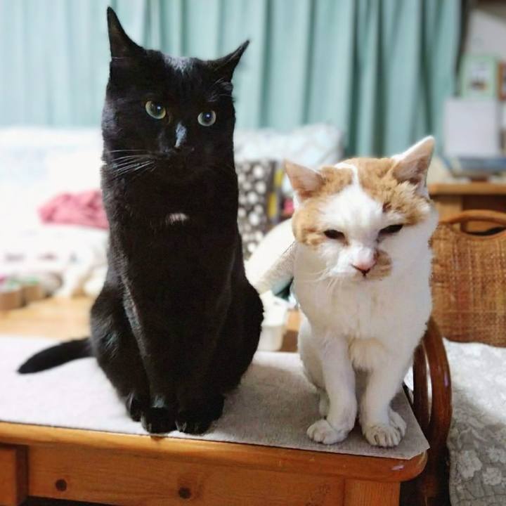 Bd3461e5 781a 4b9d 8ab9 bb0c315bac3e 1764590907729