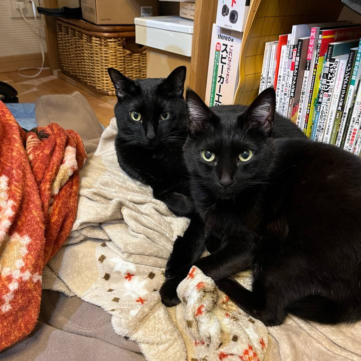 Bd34af0c 5df6 45ec b926 24ff64ddaba3 1647904051373