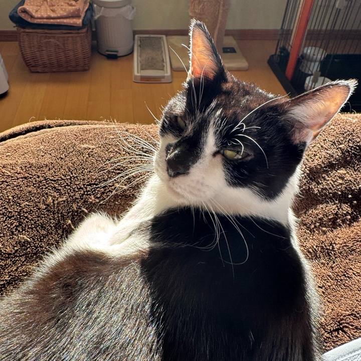 Bd34bfaa 288a 43d5 8197 04dde3fe508f 1773459061446