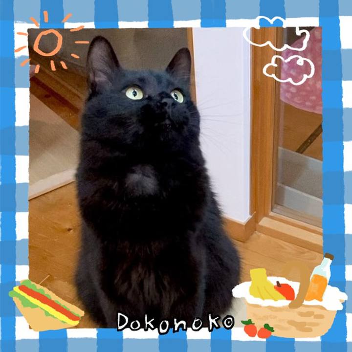 Bd34c23b 5e28 42e7 8202 83494bc09445 1744506977032