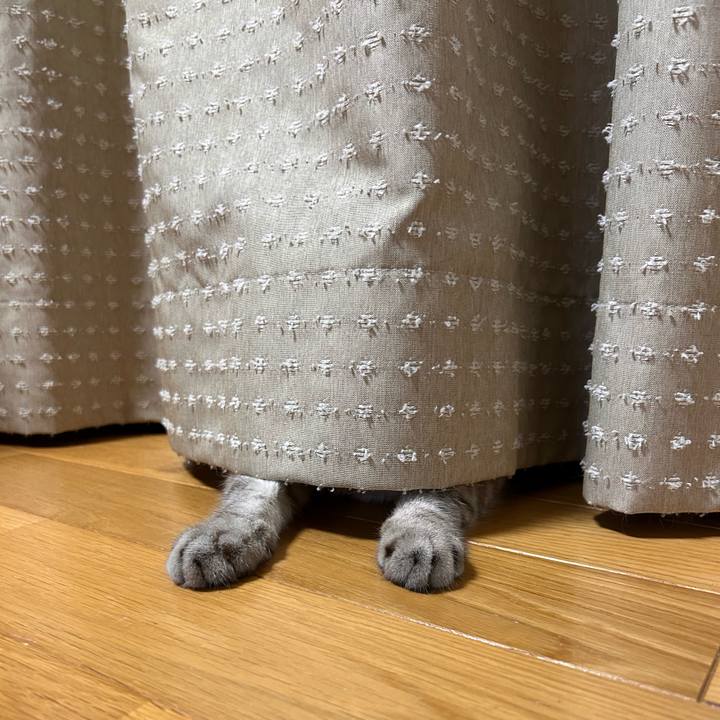 Bd3556b4 7141 46c4 8b6b 1389d091f297 1757335527679