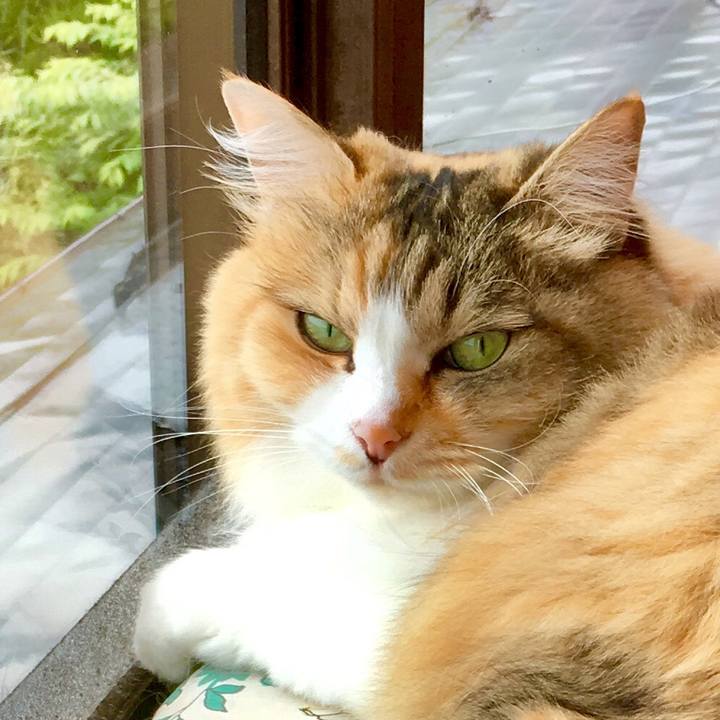 Bd35792f e7e7 4dd6 85ec 0430701ba9d9 1562209751611