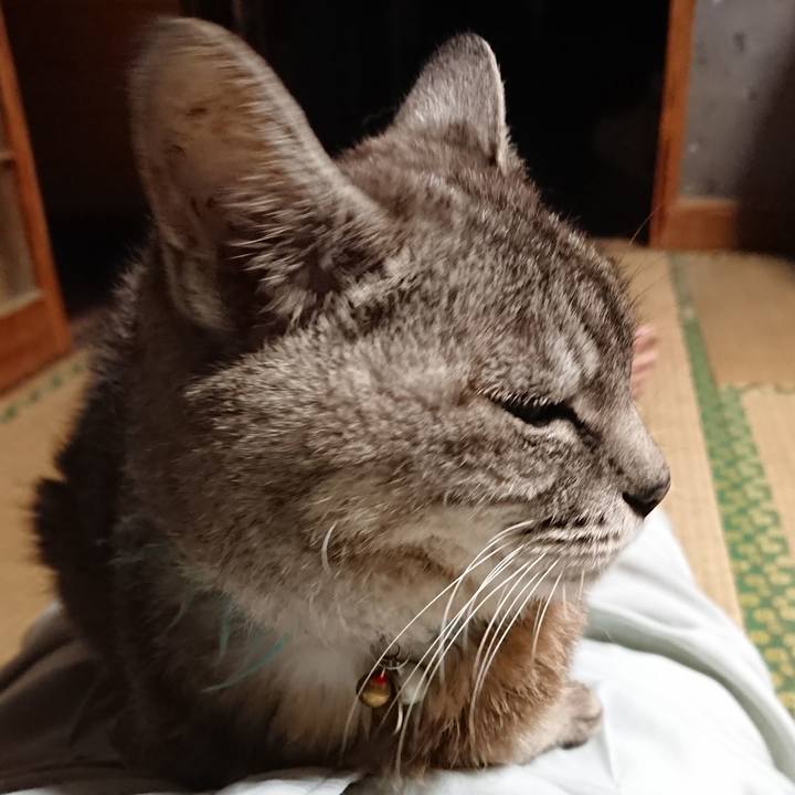 Bd359459 4294 43df a2a5 1a31f79b2ee9 1568799153497