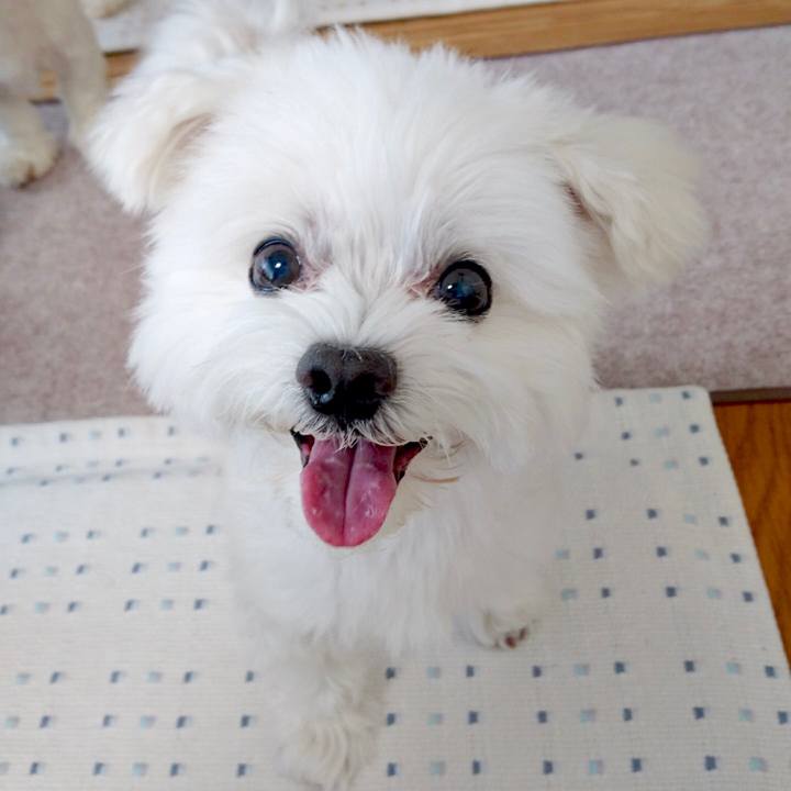 Bd35dde5 dc5f 472f accd 38d112d46d8f 1534120255210