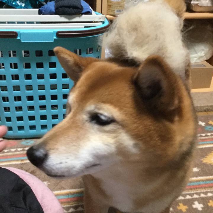 Bd35e22d 0c94 4888 a8d5 11415faee86f 1555762416256