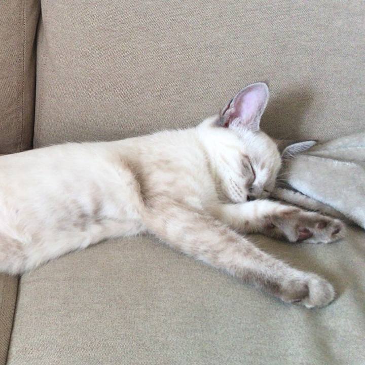 Bd35e3b6 f4f0 4afb a3e7 8559db94371f 1534937700049