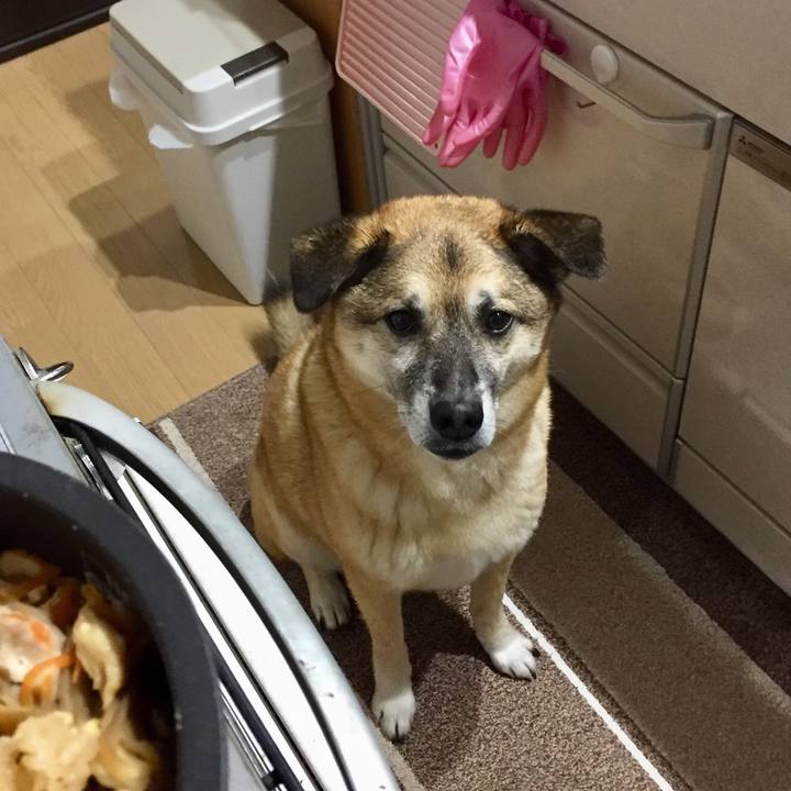 Bd35f179 69ab 4602 9a68 610ccb6d620f 1520241381047