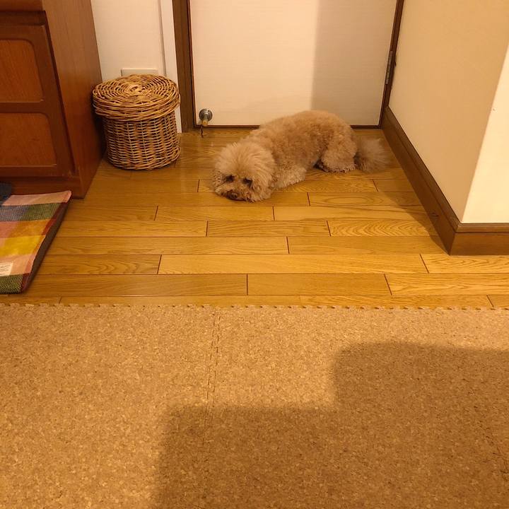 Bd3635ec 4575 4021 9616 20ed391001f9 1524647772731