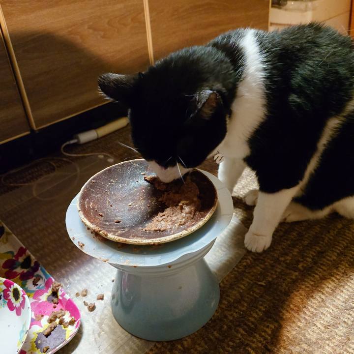 Bd363986 a0cd 4319 9fb6 2c2f3bd554db 1770468032365