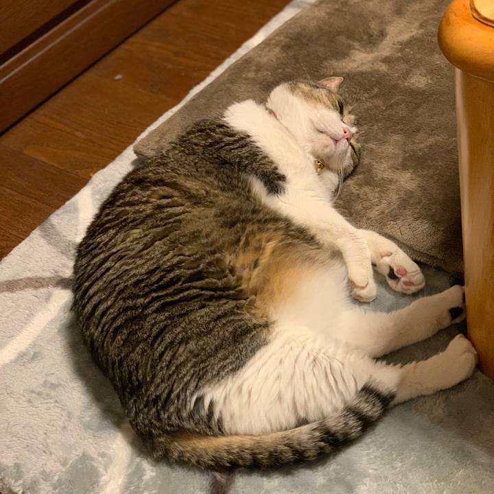 Bd36eaa9 0846 4ccf b417 c5f9554163e9 1750806721336