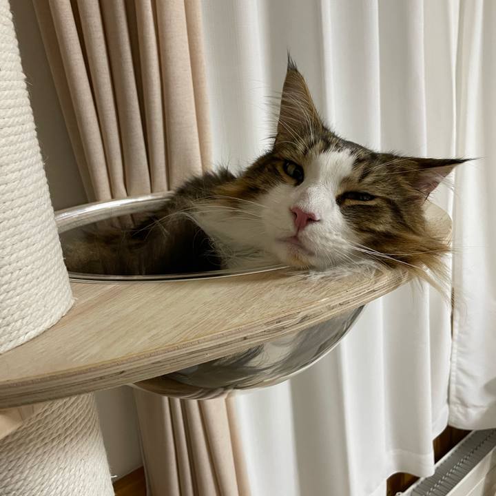 Bd36eb62 9ec5 4962 b8af 1ac673bbb218 1658322789358